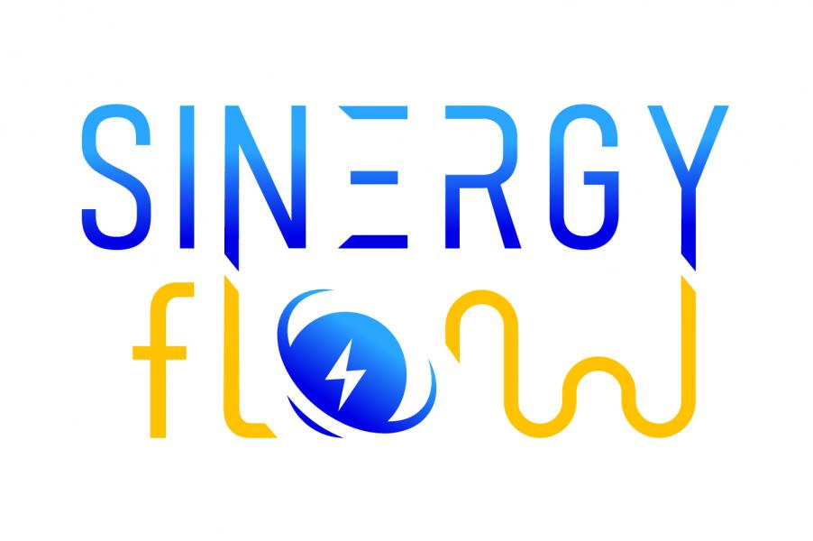 Immagine logo Sinergy Flow